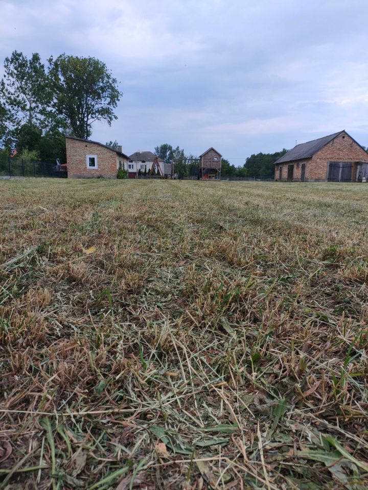 Działka siedliskowa Wólka Duża. Zdjęcie 6