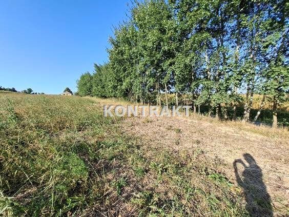 Działka Głębowice, ul. Oświęcimska. Zdjęcie 2