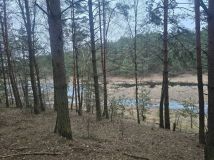 Działka leśna Młyniec Drugi. Zdjęcie 1