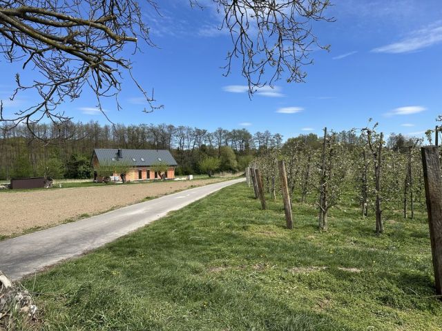 Działka rolno-budowlana Kobierniki. Zdjęcie 1