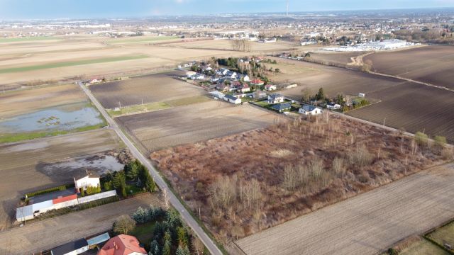 Hala/magazyn Gołaszew. Zdjęcie 3