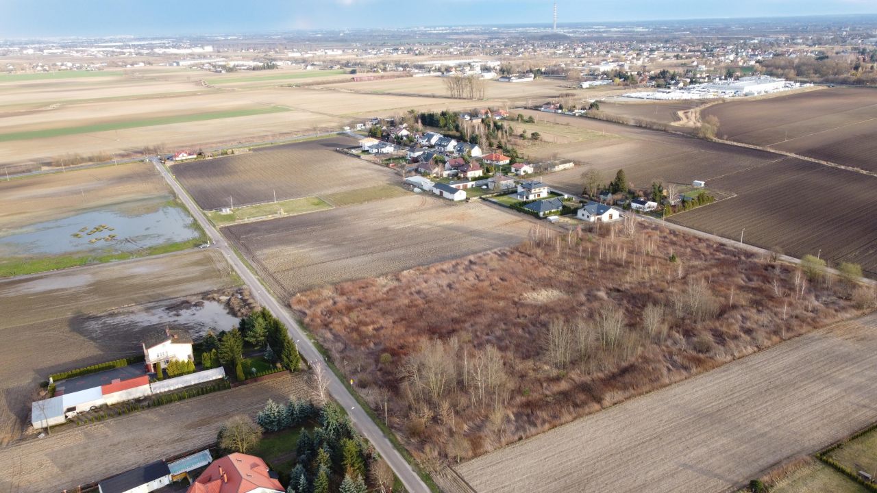 Hala/magazyn Gołaszew. Zdjęcie 3