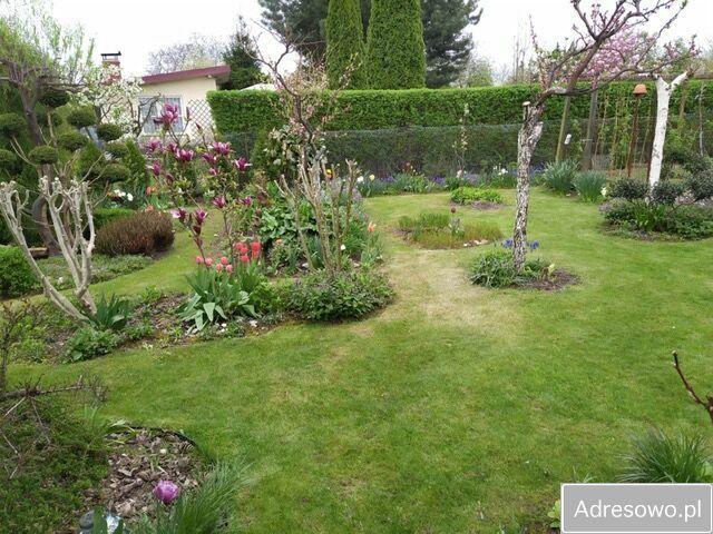 Działka rod Gliwice. Zdjęcie 7