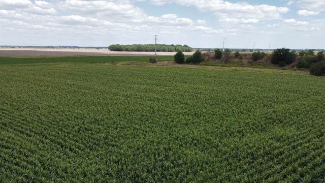 Działka inwestycyjna Turów. Zdjęcie 3