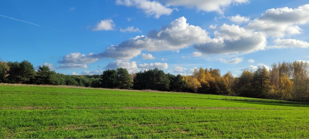 Działka budowlana Ostrowy