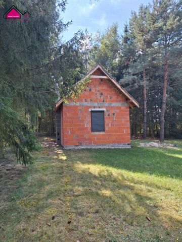 Działka rekreacyjna Wilczyn. Zdjęcie 2