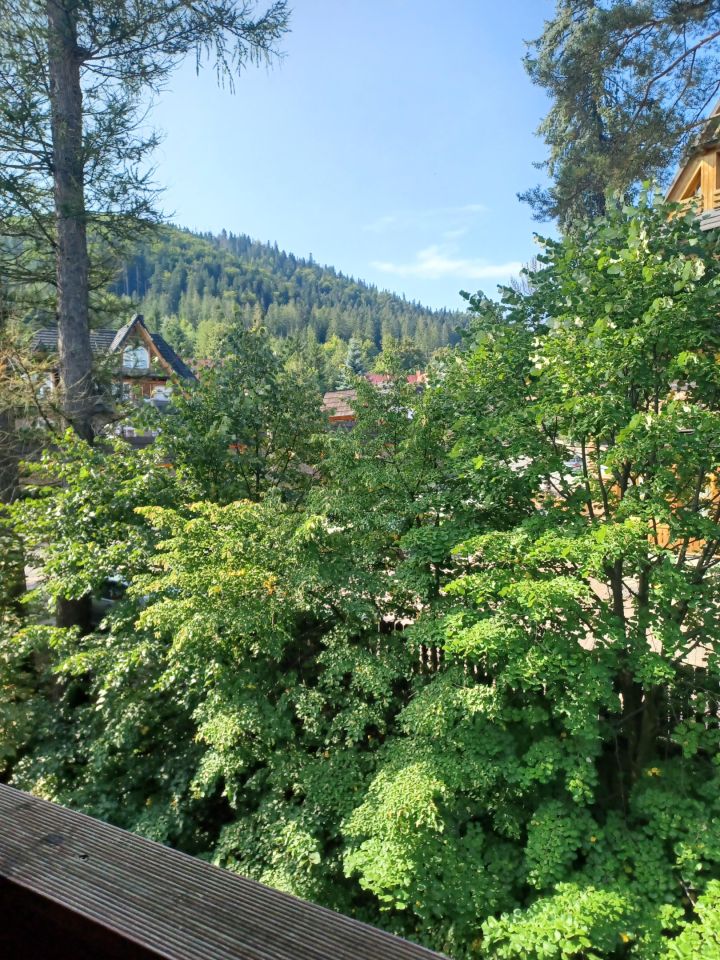 Mieszkanie 2-pokojowe Zakopane Jaszczurówka, ul. Jaszczurówka. Zdjęcie 10