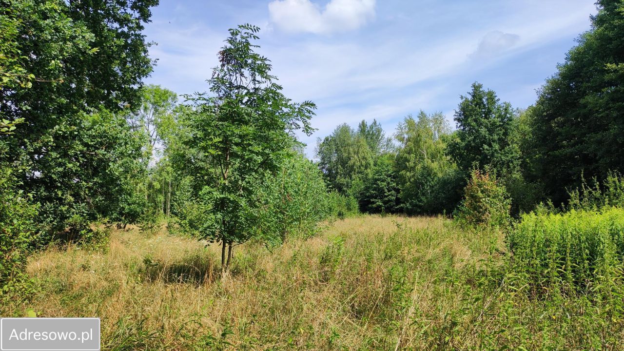 Działka rolna Secymin Polski. Zdjęcie 8