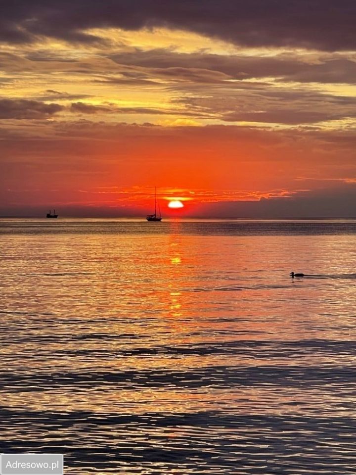 Lokal Dziwnów, ul. Spadochroniarzy Polskich. Zdjęcie 11