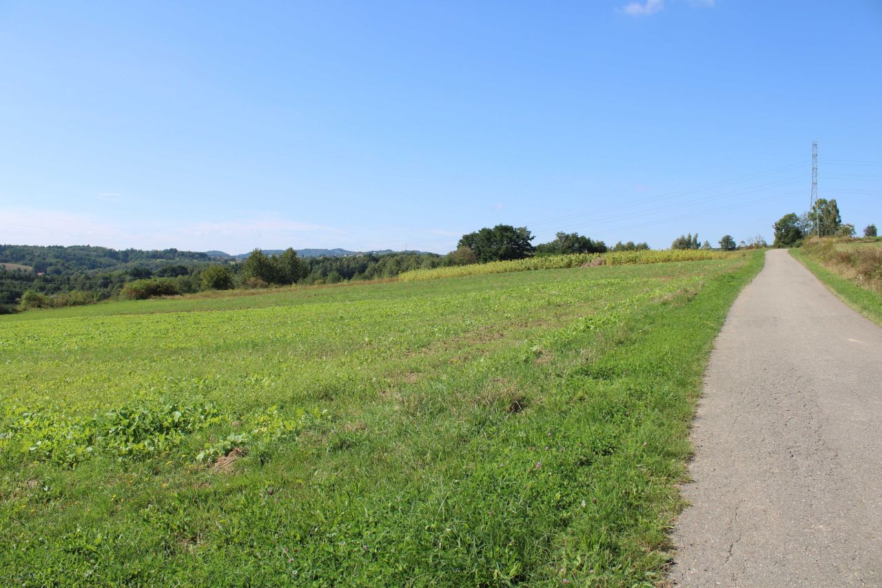 Działka rolno-budowlana Buchcice. Zdjęcie 3