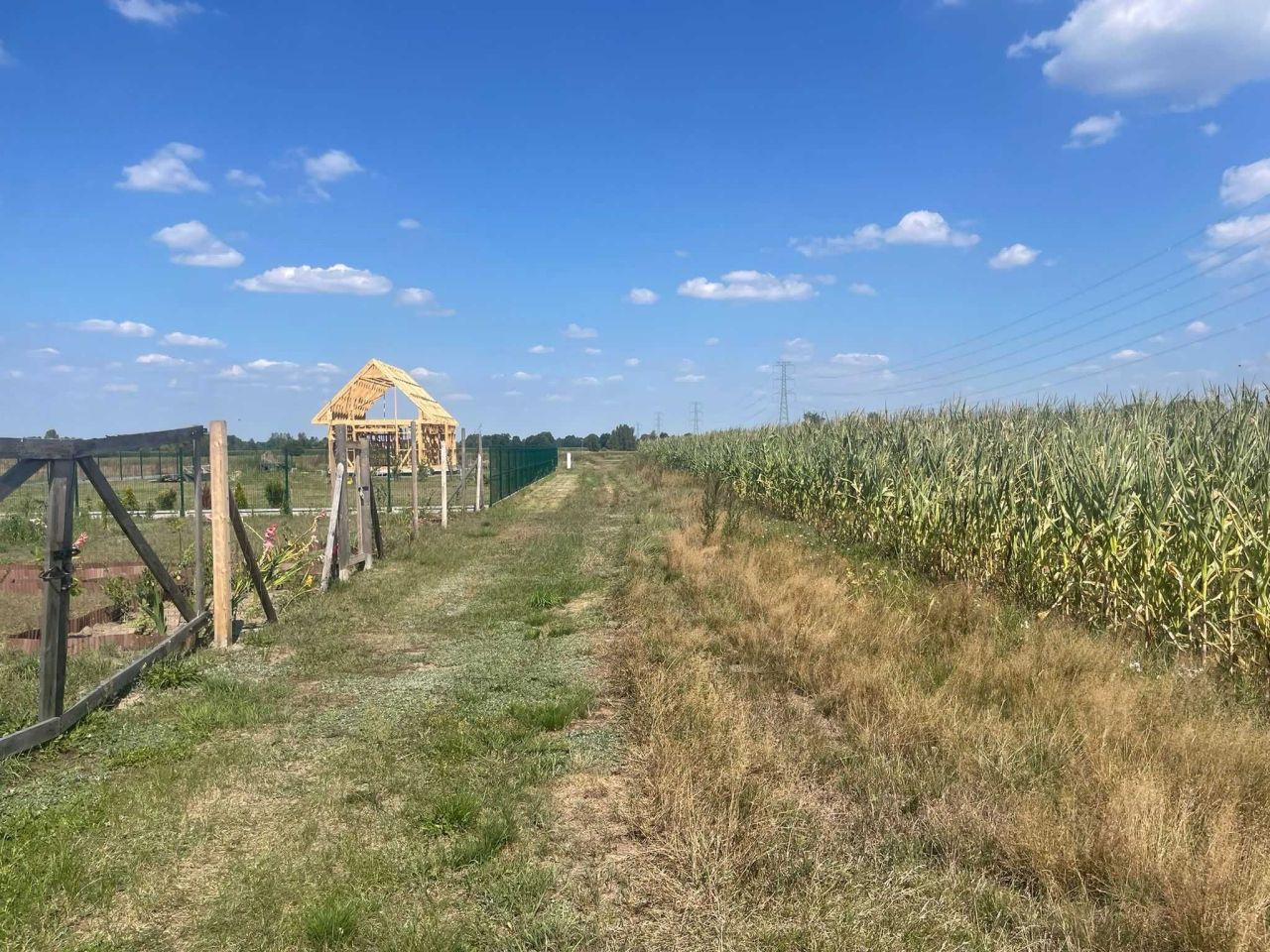 Działka budowlana Chrzczanka-Folwark. Zdjęcie 2