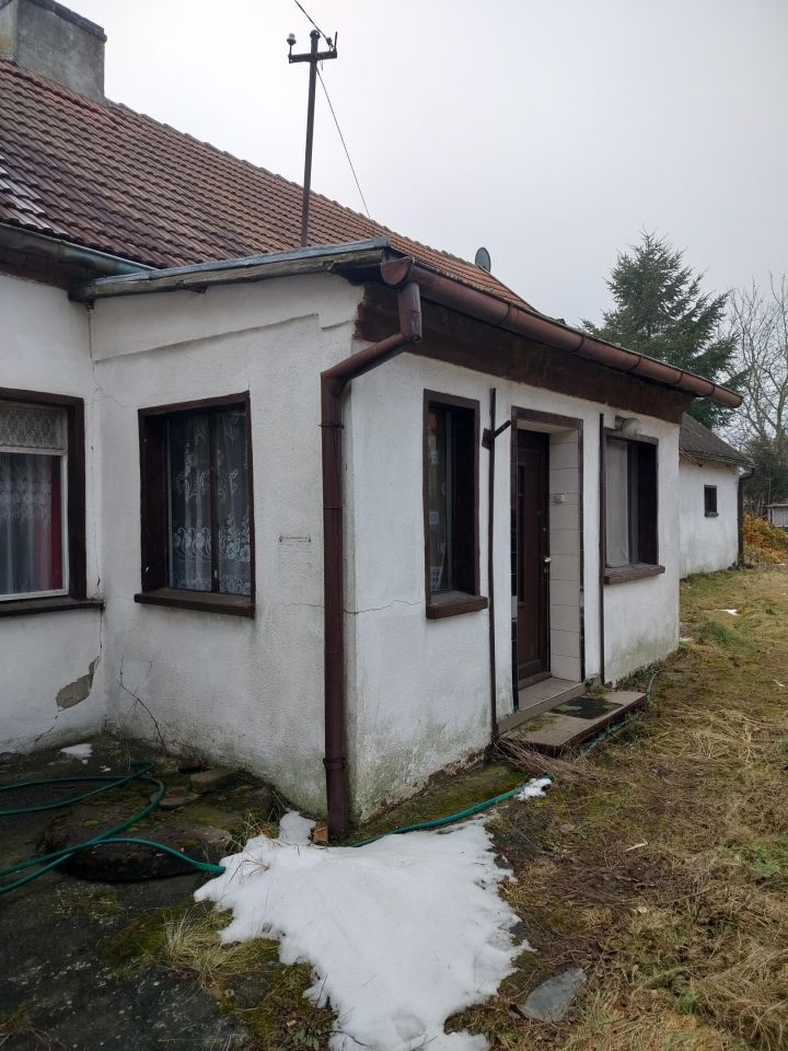 inny Uszyce. Zdjęcie 2