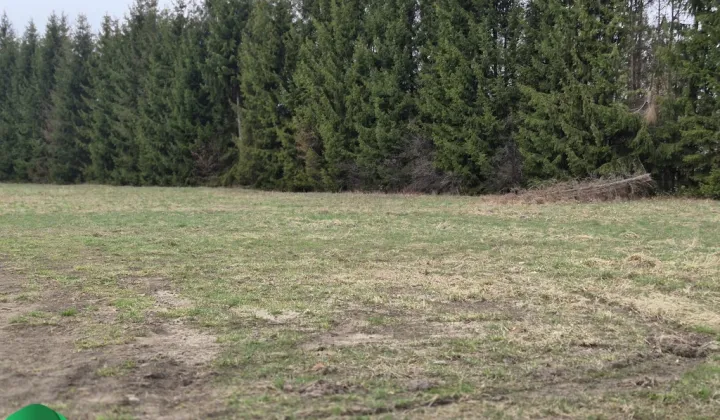 Działka budowlana Rusiec