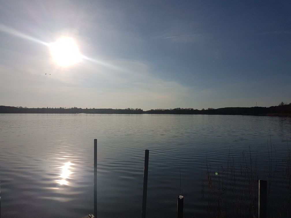 Działka inwestycyjna Wieleń. Zdjęcie 7