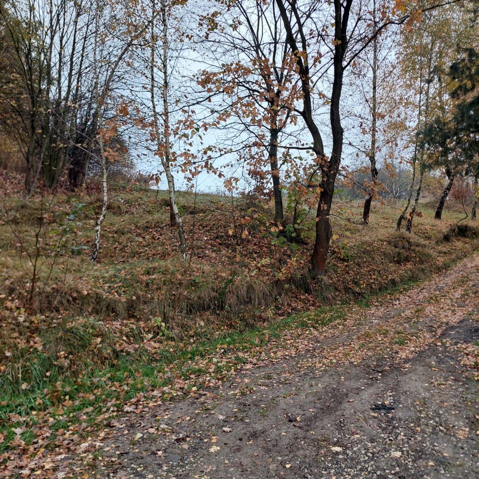 Działka rolna Łapczyca Raj. Zdjęcie 2