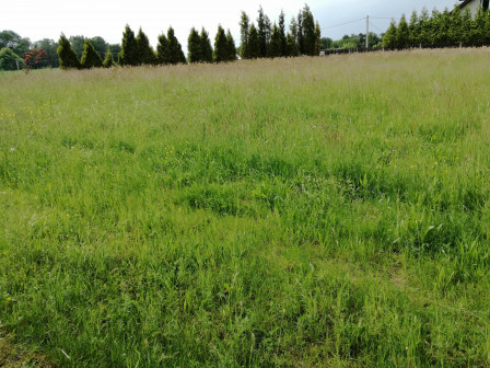 Działka rolno-budowlana Czechowice-Dziedzice Prusiec, ul. Starowiejska