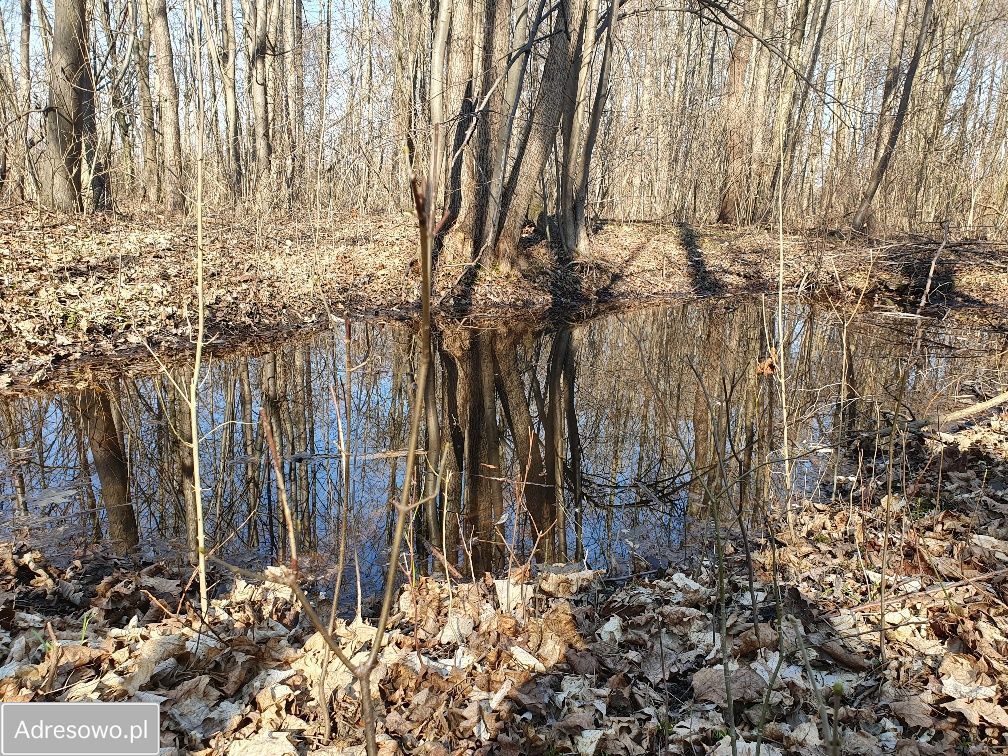 Działka inwestycyjna Wręcza. Zdjęcie 9
