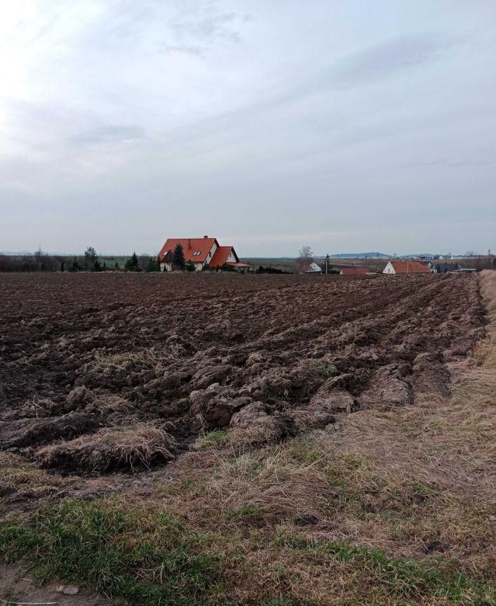 Działka budowlana Piotrowice Świdnickie. Zdjęcie 4