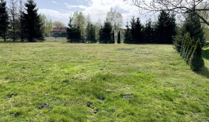 Działka budowlana Dąbie