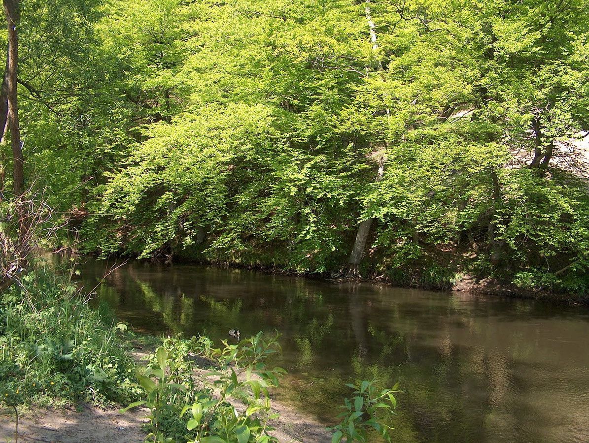 Działka budowlana Włynkówko, ul. Aleja nad Rzeką. Zdjęcie 14