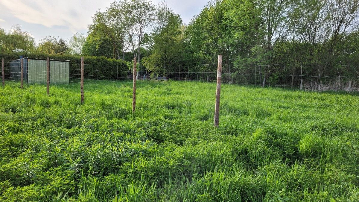 Działka budowlana Michałowice. Zdjęcie 9