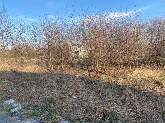 Działka budowlana Brwinów, ul. Gardenii. Zdjęcie 1