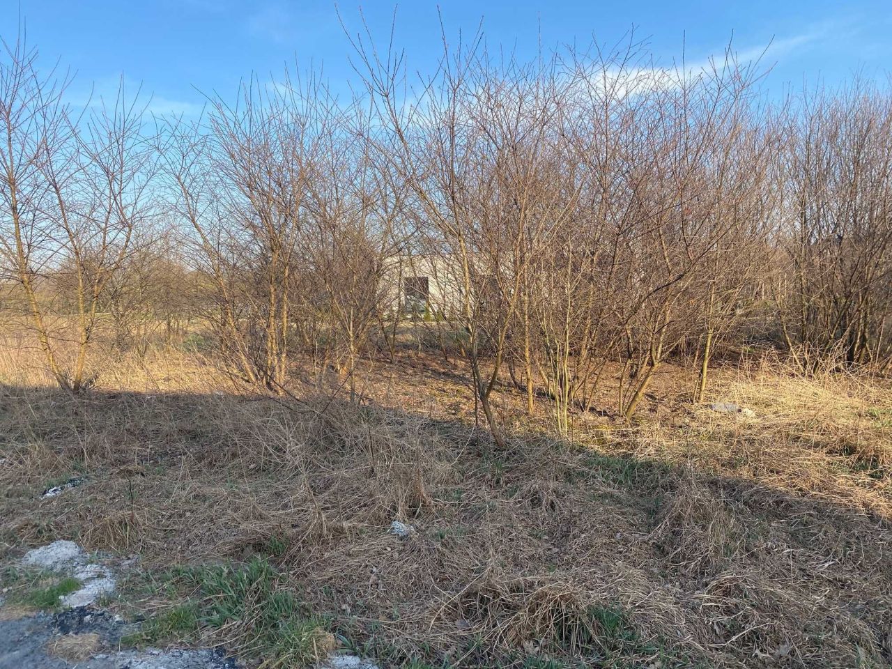 Działka budowlana Brwinów, ul. Gardenii