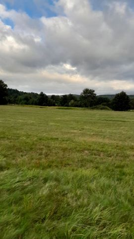 Działka siedliskowa Stara Kamienica, ul. Spacerowa. Zdjęcie 1