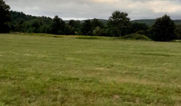 Działka siedliskowa Stara Kamienica, ul. Spacerowa