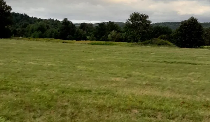 Działka siedliskowa Stara Kamienica, ul. Spacerowa