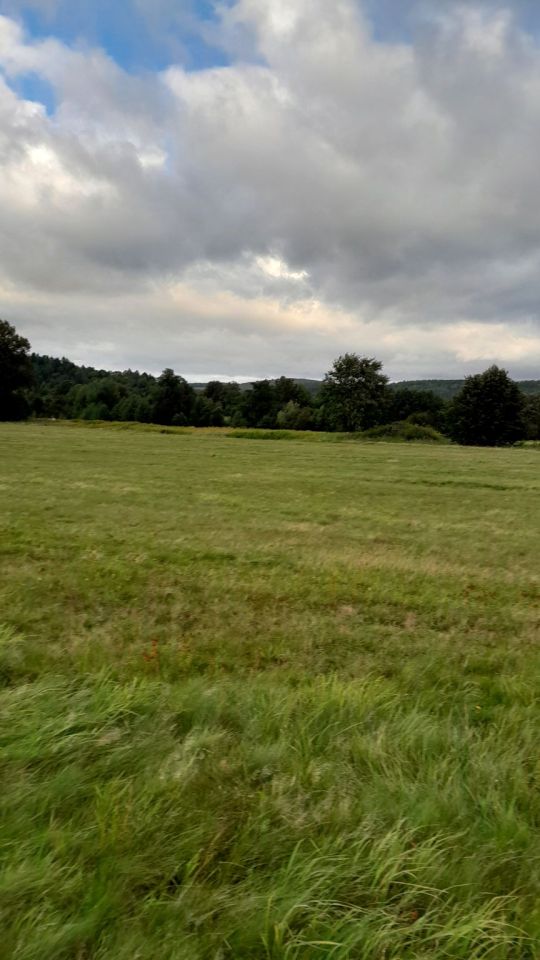 Działka siedliskowa Stara Kamienica, ul. Spacerowa