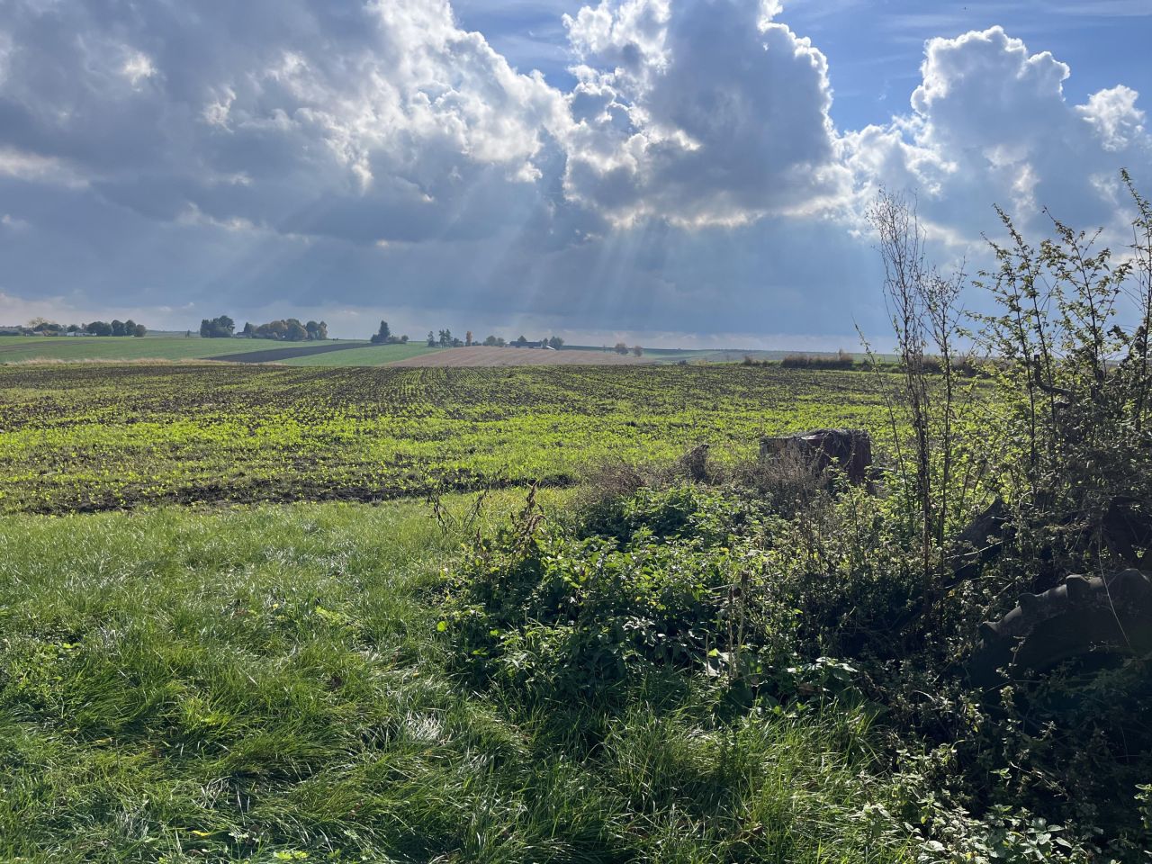 siedlisko, 2 pokoje Horoszczyce. Zdjęcie 6