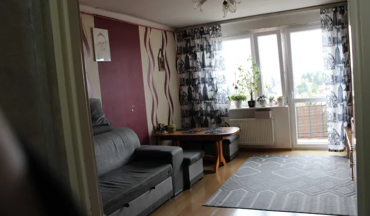 Mieszkanie 2-pokojowe Jędrzejów