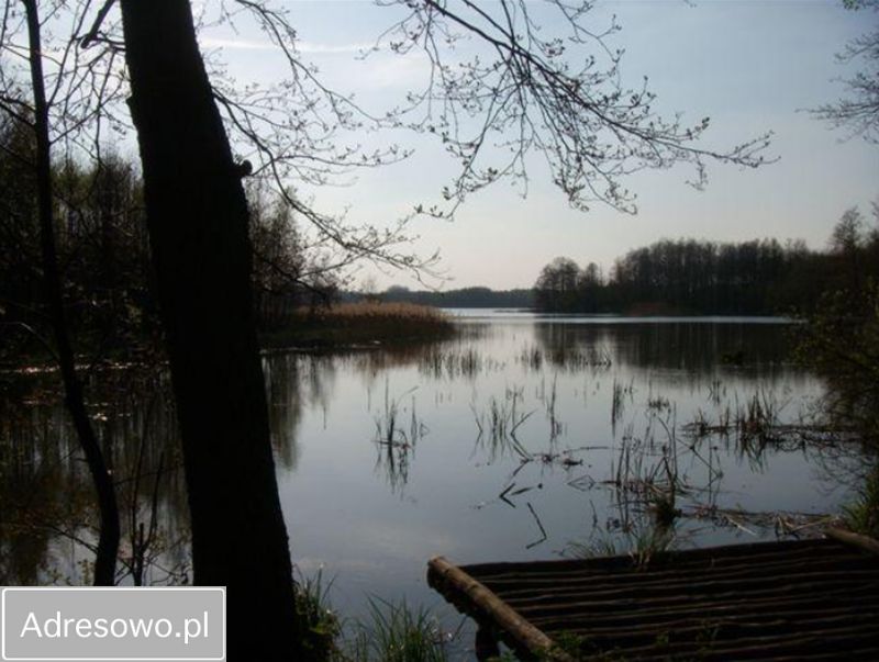 Działka rolna Kruteczek. Zdjęcie 9