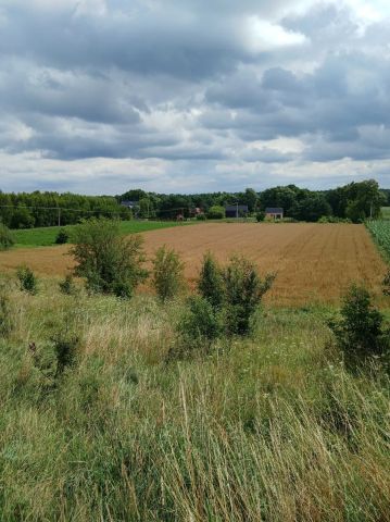 Działka rolno-budowlana Szumlin. Zdjęcie 1