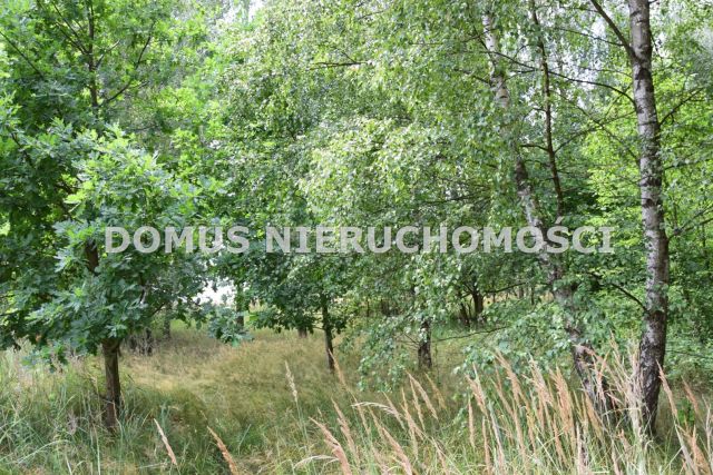 Działka budowlana Zacywilki. Zdjęcie 8