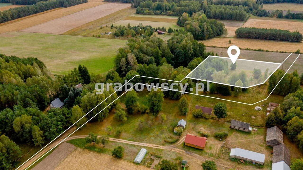 Działka rolna Wojszki. Zdjęcie 5