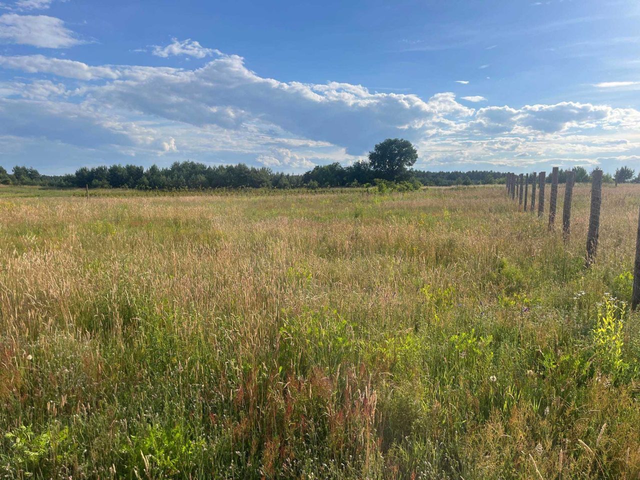 Działka budowlana Gąbin. Zdjęcie 8