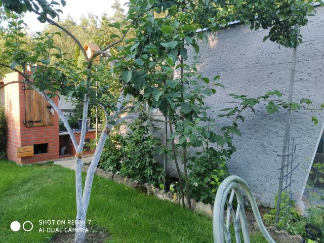 Działka rod Osiek. Zdjęcie 1