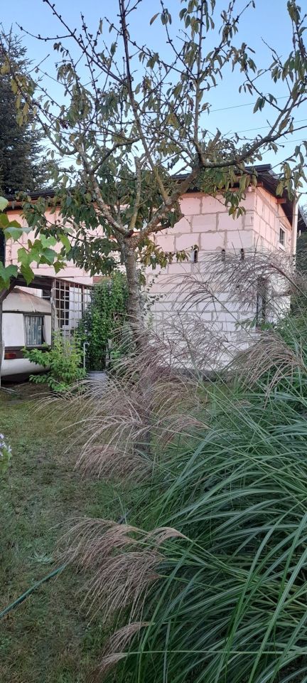 Działka rod Sieraków. Zdjęcie 4