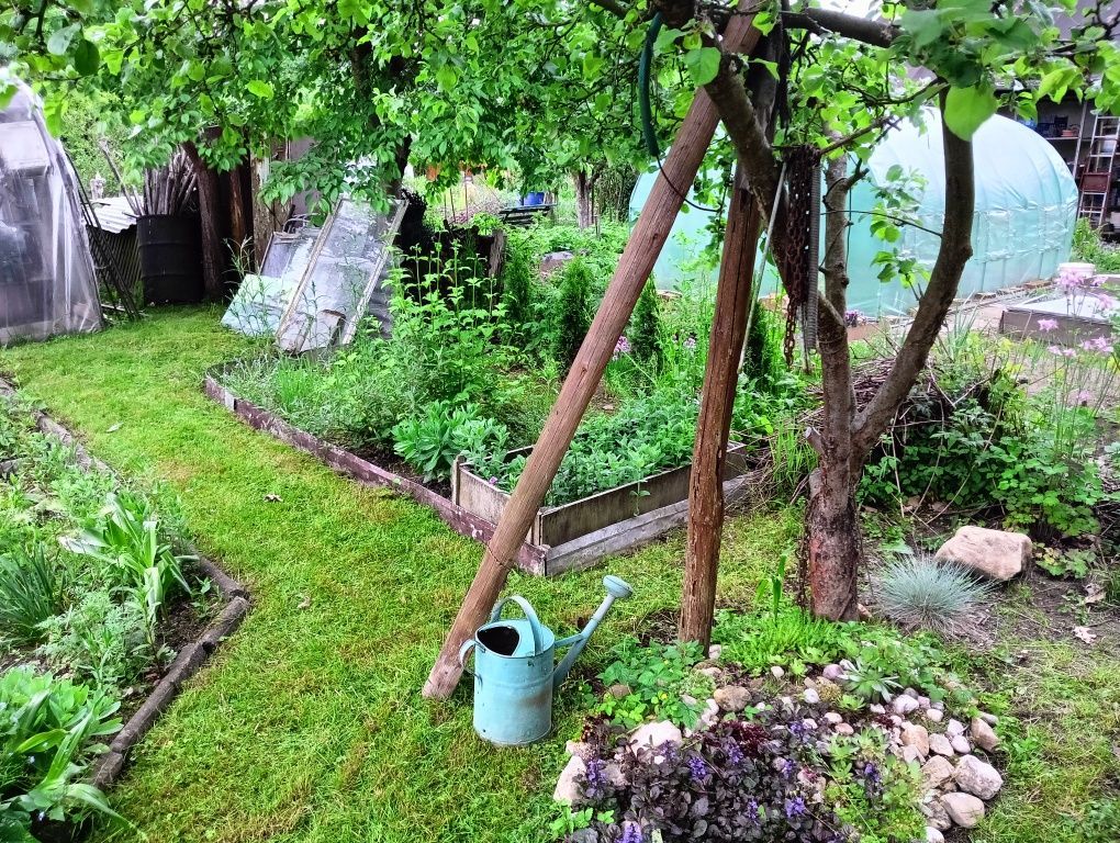 Działka rod Polanica-Zdrój. Zdjęcie 3