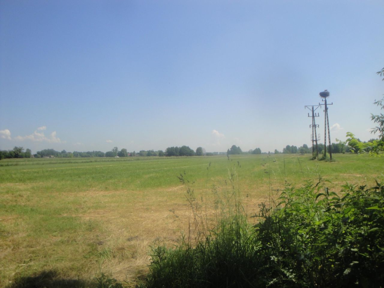 Działka rolno-budowlana Baranów, ul. Brzozowa. Zdjęcie 5