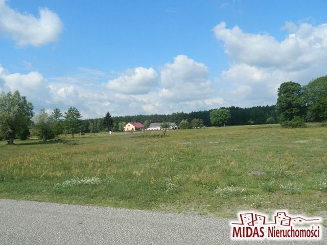 Działka rekreacyjna Dąb Mały. Zdjęcie 2