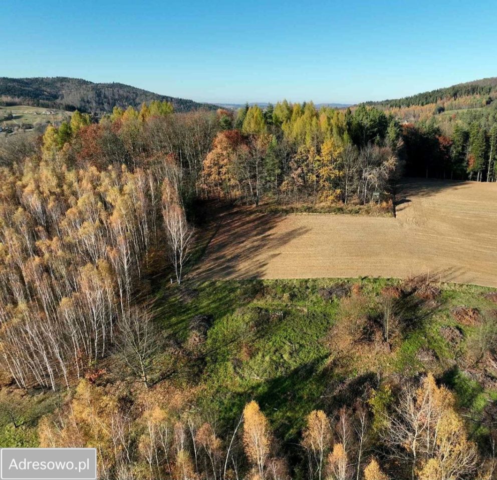 Działka rolno-budowlana Olszowa. Zdjęcie 5