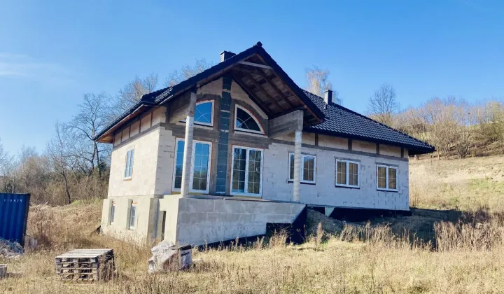 dom wolnostojący, 10 pokoi Płock