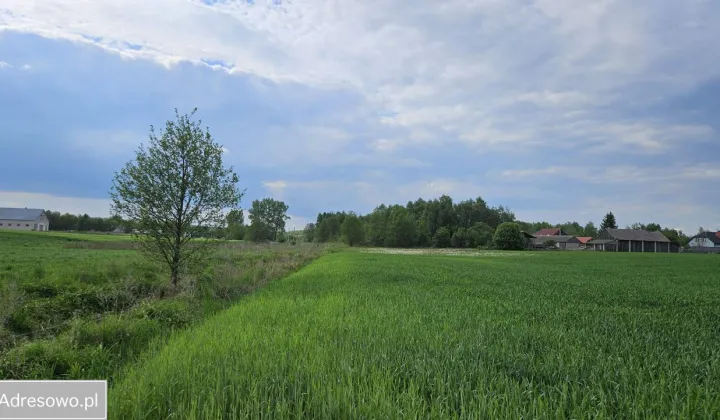 Działka rolno-budowlana Łubin Kościelny