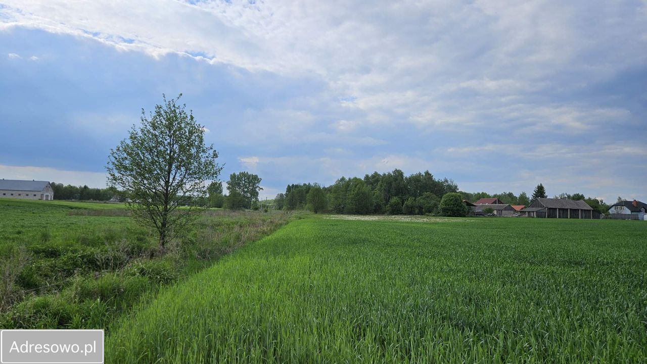 Działka rolno-budowlana Łubin Kościelny. Zdjęcie 1
