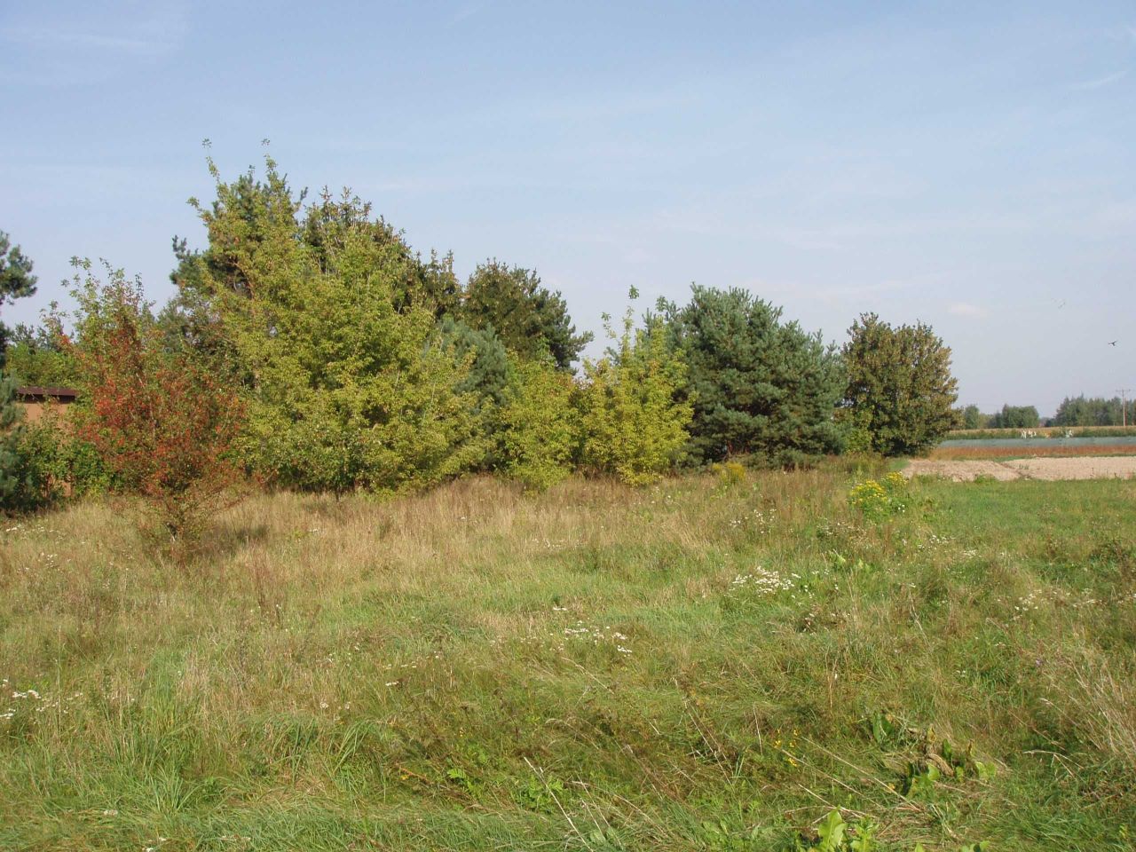 Działka budowlana Nasielsk, ul. Leśna