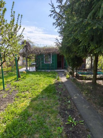 Działka rekreacyjna Zgierz, ul. Henryka Sienkiewicza. Zdjęcie 1