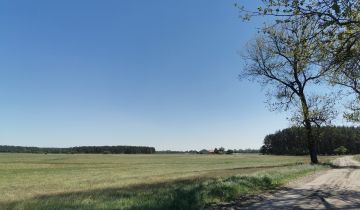 Działka rolna Święta